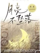 月亮不坠落 闻笙 TXT全文 全本连载