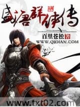 盛唐群侠传 百里苍松 TXT全文 全本完结