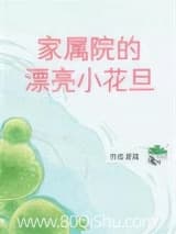家属院的漂亮小花旦[八零] 夏端 TXT全文 全本连载