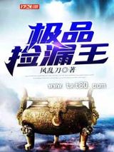 极品捡漏王 风乱刀 TXT全文 全本连载