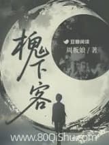 槐下客 周板娘 TXT全文 全本连载