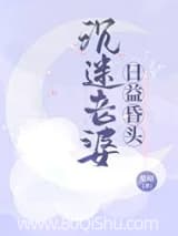 沉迷老婆,日益昏头小说,沉迷老婆,日益昏头 梨昭 TXT全文 全本连载