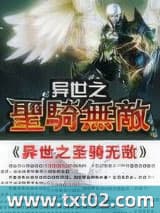 异世之圣骑无敌 天羽龙翔 TXT全文 全本完结