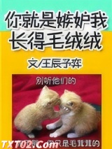 你就是嫉妒我长得毛绒绒 王辰予弈 TXT全文 全本完结